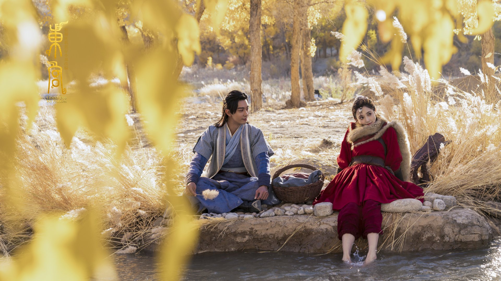 数字化赛场管理系统优化提升赛事体验,数字化赛道