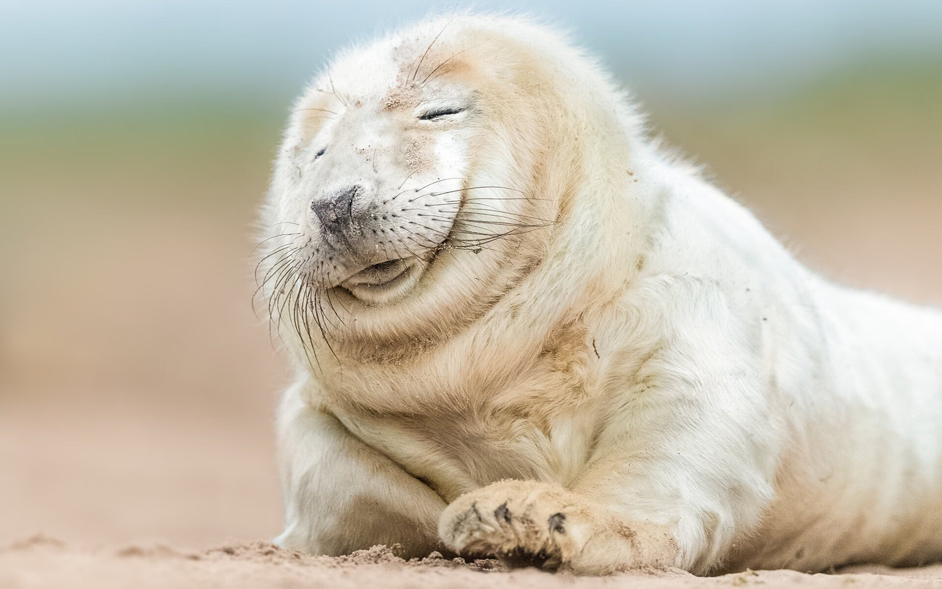 九游APP官网-_新赛季展望：潜力新星预计冲击总冠军_，全新赛季