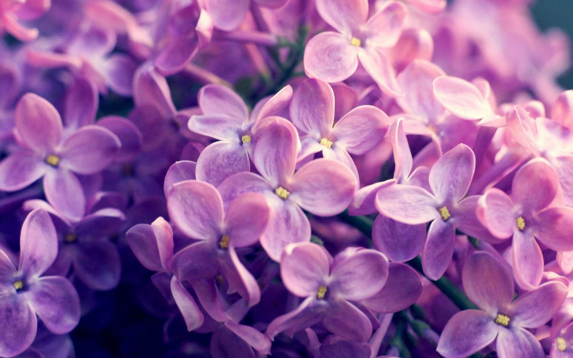 JIUYOU GAMING-“名人传承”青少年篮球名宿讲坛在北京盛大开幕，青少年篮球队名单